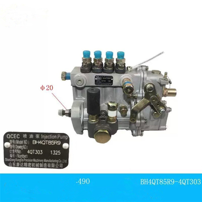मानक आकार डीजल इंजेक्शन पंप OEM NO 2409002110005 QC490 इंजन भागों के लिए